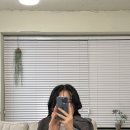 사파동211 | [창원 사파동 미용실] 레이어드펌 수풀