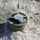 다듬 피트니스 이미지