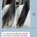 비비딕스