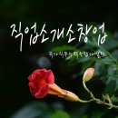 대표인력직업소개소