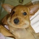 사랑니빠지는구강악안면외과치과의원 이미지