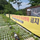 다락골민박