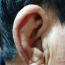 귀컨디션지도사 2급 이미지