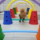 행복한유치원 이미지