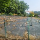 송악농장 이미지