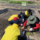 힐링농장 이미지