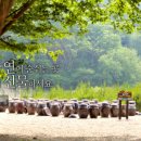 연계콩마을 네이버블로그