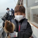 참가자미 이미지