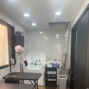 퍼그몽 이미지