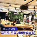 양평이화사슴농장 | 아이들과 양평가볼만한 굼프로 곤충 체험학습농장 실내 놀거리 추천