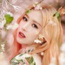 별과 소나무 이미지