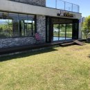 댕댕놀이터 이미지