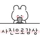 주정차062 이미지