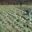 한창메디칼 이미지