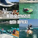 AP오토서비스 | [통영 오션브리즈요트] 내돈내산 애견동반 국내호핑투어 수상스포츠 스노쿨링 썸머패키지 후기