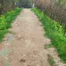 애막골 등산로 입구 이미지