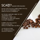 바리스타중급(오후) 이미지