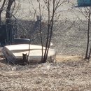 연천신답리고분 이미지