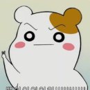 마니우 | [신혼일기_해삐일기] 👶🏻17주차 해삐엄마의 기록/태교여행 면세점 추천 리스트