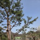 광명농원 이미지