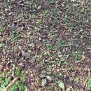 강골농장 이미지