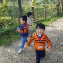 인호목장 Daum카페