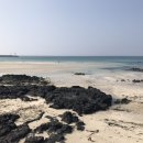 제주길라임민박 | [후기] 제주도 여행_관광지(세화해변, 사려니숲길, 휴애리)