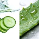 일광수지 이미지