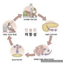 고려대학교 생명환경과학대학원 | 하리보 영양학 공부 - 오메가9