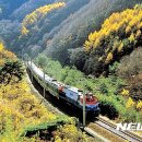 용부원1리 이미지