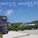 제때협동조합