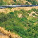 블루아프리카 이미지