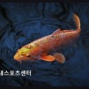 버드내 산제당 | 수원 권선구 스포츠시설 버드내스포츠센터 수영 강습 호평 이어져요