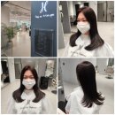 대전 머리잘하는곳 둔산동 미용실 살롱드헤브론 염색 후기