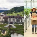 주식회사베리 이미지