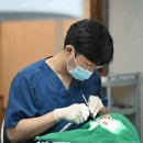 편한세상치과의원 이미지