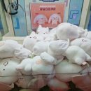 인형뽑기# 이미지