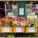 우일한의원 이미지