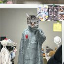 혜영이네 이미지