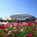 가을노을C 이미지