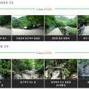 구룡소교량 Daum카페