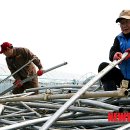 월호농장 이미지