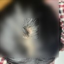 예닮빛의원 이미지