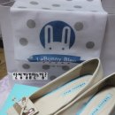 H0054 이미지