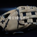 미즈노 프로 프리미엄 셀렉션 오더 1루 미트 판매.(이승엽 모델) 이미지