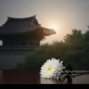 복사골의전