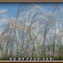 연인노래