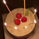 채연농장 | 사랑에 시차가 있다니 (2025 결산)