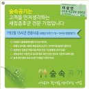 숲속공기 이미지