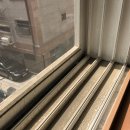 메니아크린 이미지